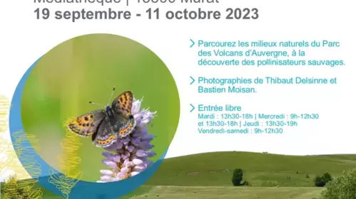 Conférence "A la découverte des pollinisateurs du Parc des Volcans d'Auvergne"